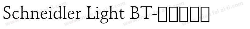 Schneidler Light BT字体转换